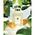 Jo Malone Unisex kolonjska voda Lime Basil&Mandarine EDC 100ml