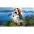 LEGO® Star Wars Porg (75230)