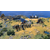 PC Sid Meier’s Civilization 7