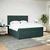 Vidaxl Box spring postelja z vzmetnico temno zelena 200x200 cm žamet