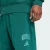 ADIDAS SPORTSWEAR Športne hlače Collegiate azur/smaragd