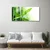 tulup.si Slika na steklu Bamboo leaf narava rastlin 120x60 cm 2 obešalnika