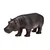 Mojo Hippo samica