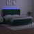 Vidaxl Box spring postelja z vzmetnico LED tem. zelena 160x200cm žamet