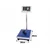 shumee Platformna tehtnica 30x40 100 KG (1)