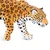 Safari Jaguar