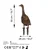 Atelier Del Sofa Dekorativna figura Goose -A 04, 65x26 cm, 1.5 mm