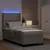 Vidaxl LED Box Spring Postelja z vzglavjem Taupe 100 x 200 cm blago