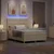 LED Box Spring Krevet s uzglavljem Krema 140 x 190 cm tkanina