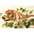 GRAINE CREATIVE 3D Puzzle T-rex 49kos