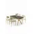 Hanah Home Trpezarijski set, 5 komada, Svetlozeleni