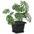 Saksije za biljke 6 pcs Crna 33 x 33 x 26 cm Plastika