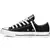 Converse All Star Chuck Taylor M9166