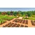 PS5 Life in Willowdale: Farm Adventures