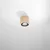 Sollux SL.0913 - Plafonsko svetlo BASIC AR111 1xGU10/40W/230V bukva