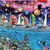 Educa Puzzle 24000 delova Lige The Greate Challenge