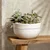 shumee Skleda (22 cm) Perlemor Sand Villeroy & Boch