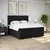 Vidaxl Box spring postelja z vzmetnico črn 200x200 cm blago