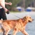 Dogness Povodac za pse L, 5 m, Crveni
