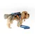 Paws & Whiskers Ranac i povodac za pse, Plavi