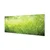 tulup.si Slika na steklu Grass rosišča kapljic 140x70 cm 2 obešalnika