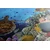 Slika podmorski svet - 60x40