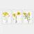 Wallity Set uramljenih slika 3BC_22613791, 3 Dela