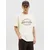 JACK & JONES Majica JJEDover rjava/bela