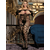 BODYSTOCKING Ohyeah H3159