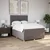 Vidaxl Box spring postelja z vzmetnico taupe 160x200 cm blago