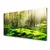 tulup.si Steklena slika Forest moss narava 100x50 cm 4 obešalnika
