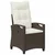 Vidaxl Vrtni Stol 2 szt. Rjava in krem 56 x 60 x 112 cm