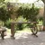 Vidaxl Vrtna miza 115x55x65 cm trden les jelke