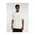 Dickies Fairlawn ss tee Bež