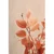 Slika vejice listov Peach Fuzz - 30x40