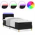 LED Box Spring Krevet s jastukom Crna 80 x 200 cm tkanina