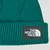 The North Face  SALTY LINED BEANIE  Zelena