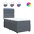 vidaXL Box spring postelja z vzmetnico temno siva 100x200 cm žamet