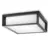 PHILIPS Zidna lampa Skies 2x42W 230V crna