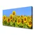 tulup.si Slika na platnu Sončnica flower rastlin 120x60 cm