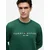 Tommy Hilfiger Jopa Logo MW0MW11596 Temno zelena Regular Fit