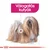 Royal Canin Exigent - mokra hrana za izbirčne pse 85 g