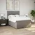 Vidaxl Box spring postelja z vzmetnico taupe 160x200 cm blago