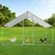 MONSTER Chicken Run 3m x 2m x 2m, (21571213)
