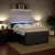 Vidaxl Box spring postelja z vzmetnico temno siva 140x200 cm žamet