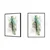 shumee PLAKAT ZA SLIKE V OKVIRJU 43x33 cm Paw P768