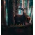 Fototapeta jelen v gozdu - 245x270