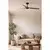 FARO 33817WT-Plafonski ventilator PUNT M braon/crna prečnik 132 cm WT+daljinski upravljač