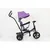 Tricikl Hh-6388 Trike Purple