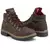 Duca di Morrone 1217 BROWN